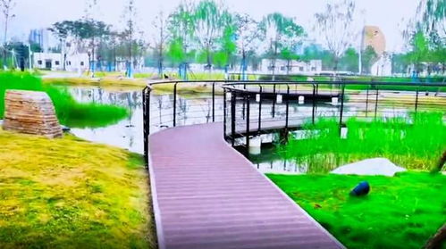 游覽武漢城區(qū)一座魚主題公園 面積超10個(gè)球場(chǎng),地下還有巨型工廠