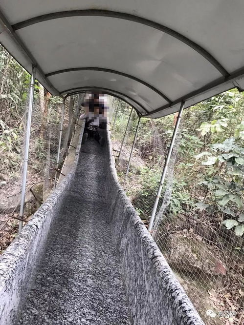 茂名一旅游景區發生安全事故1死5傷,你還敢這樣玩嗎