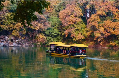 北京市屬公園31項重陽活動送祝福