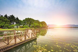 A級景區路在何方 從摘牌、降級與警告看游覽景區管理優化